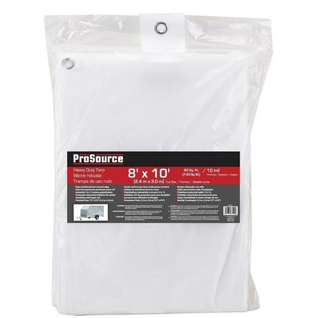 PROSOURCE 10 Mil Tarp, White, Plastic TW0810